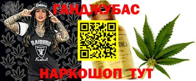 молекула духа Будённовск