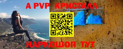 молекула духа Будённовск
