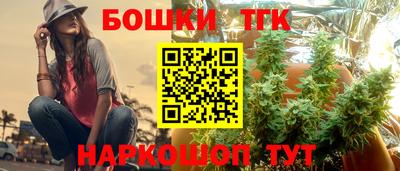 индика Волжский