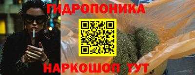 молекула духа Будённовск