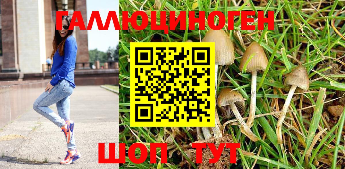 Галлюциногенные грибы Psilocybine cubensis  Вход с VPN  Россошь 